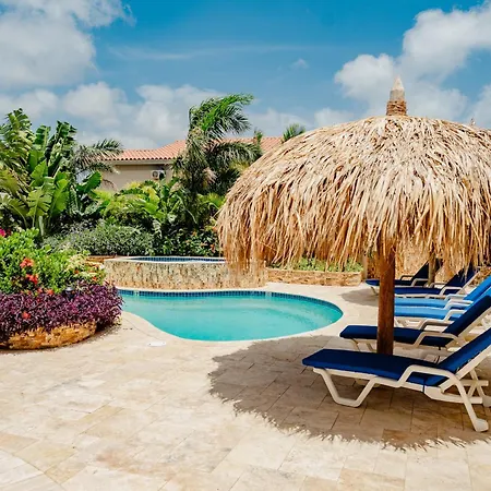 Amazing Studio 2 Km From Eagle Beach